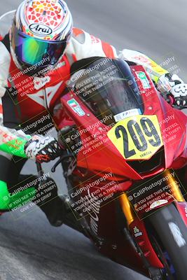 media/Mar-02-2025-Race Pace (Sun) [[8bec80ae00]]/14-Verified (Turn 10 Inside)/